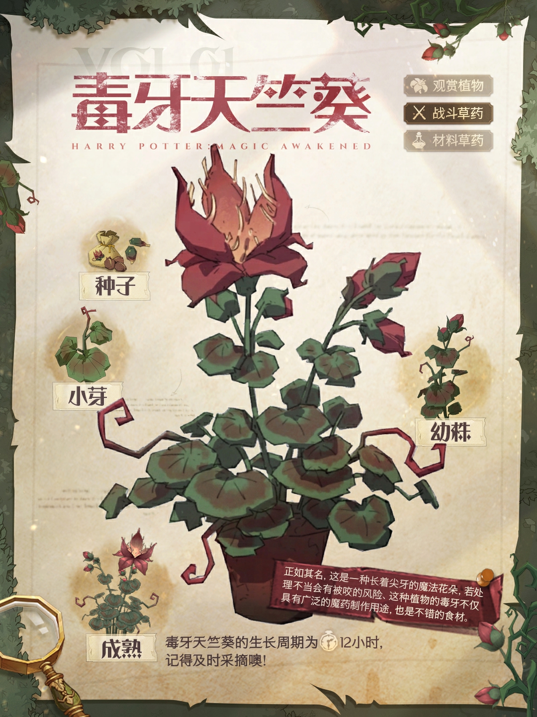 魔法植物图鉴丨第一期：毒牙天竺葵_哈利波特魔法觉醒 | 大神